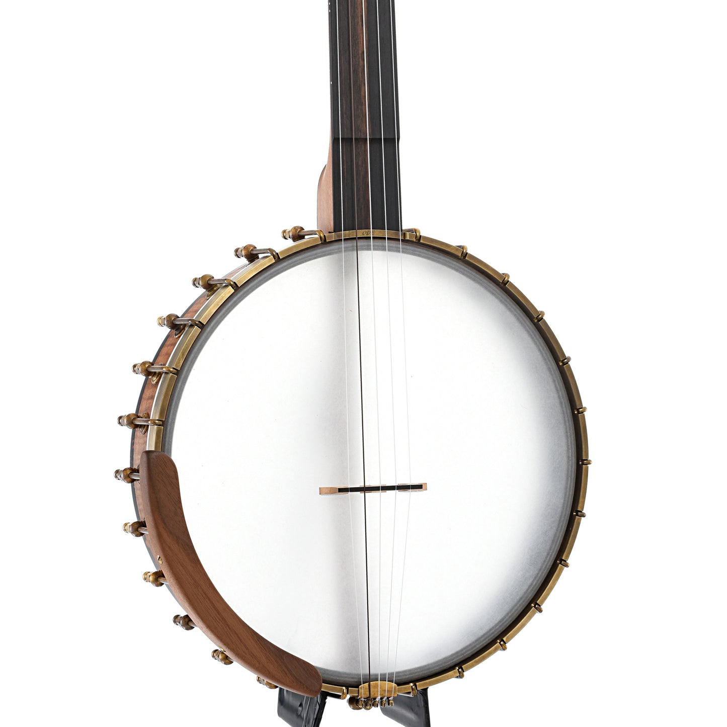 Front and side of Ode Magician 12" Fretless Openback Banjo Nylgut Strings