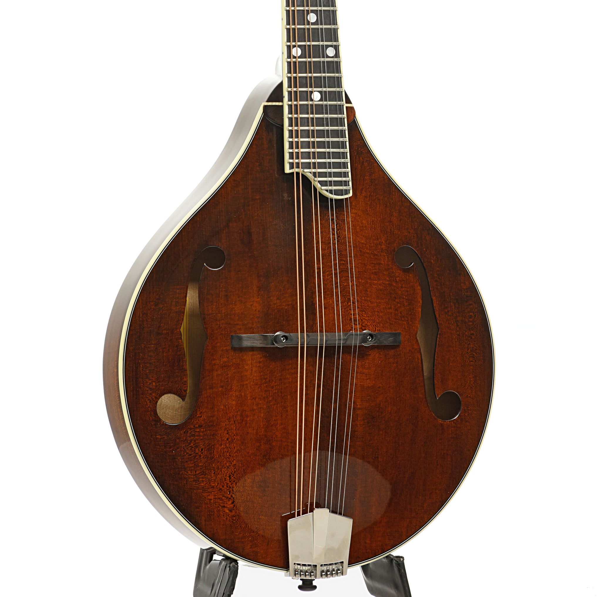 Eastman MD505 Classic Mandolin & Case – Elderly Instruments