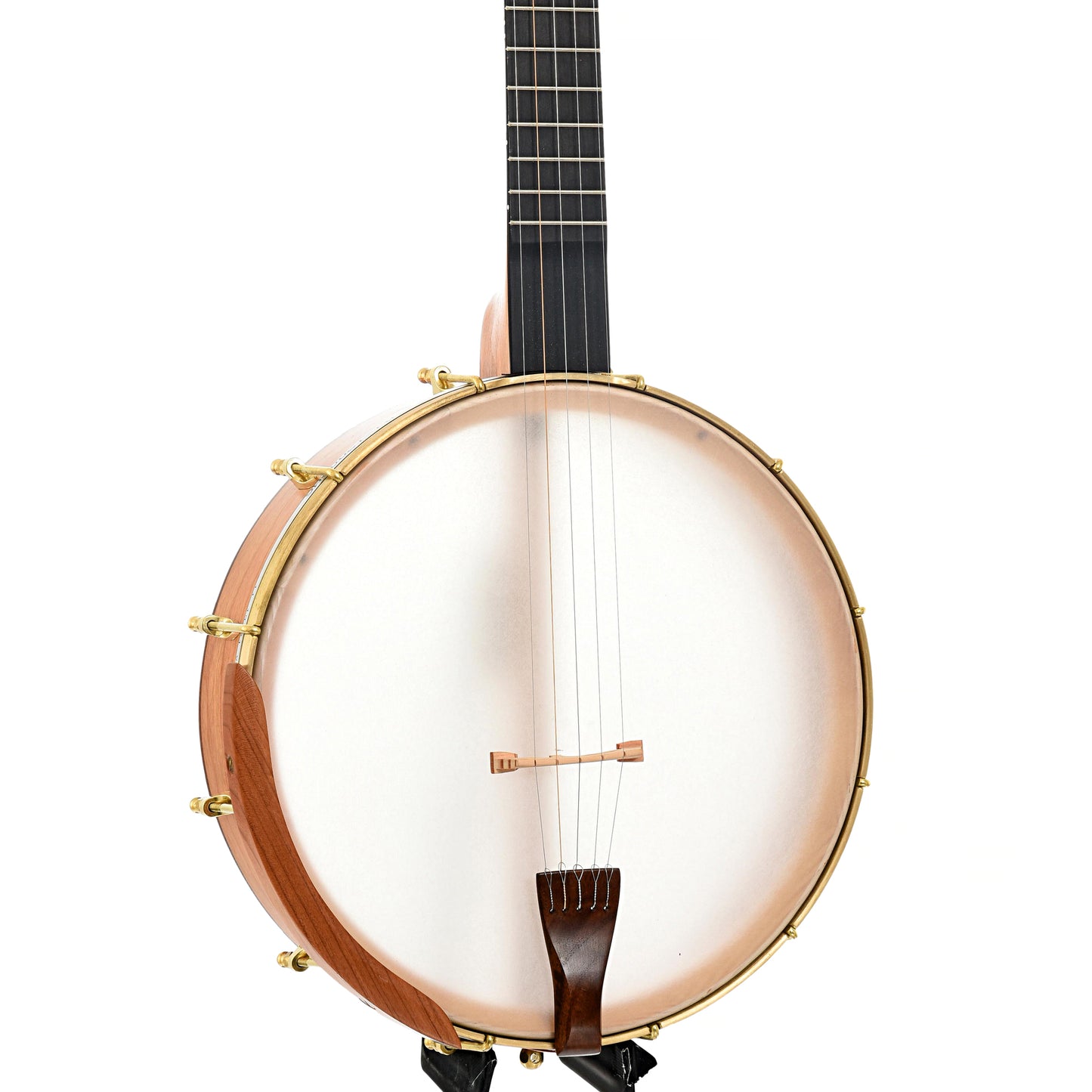 Front and side of C. Waldman 12" Chromatic (Step Side) Openback Banjo - No. 169