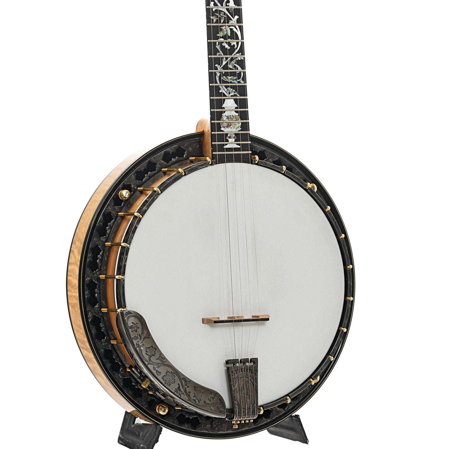 Front and side of Stelling Tree of Life Resonator Banjo (2001)