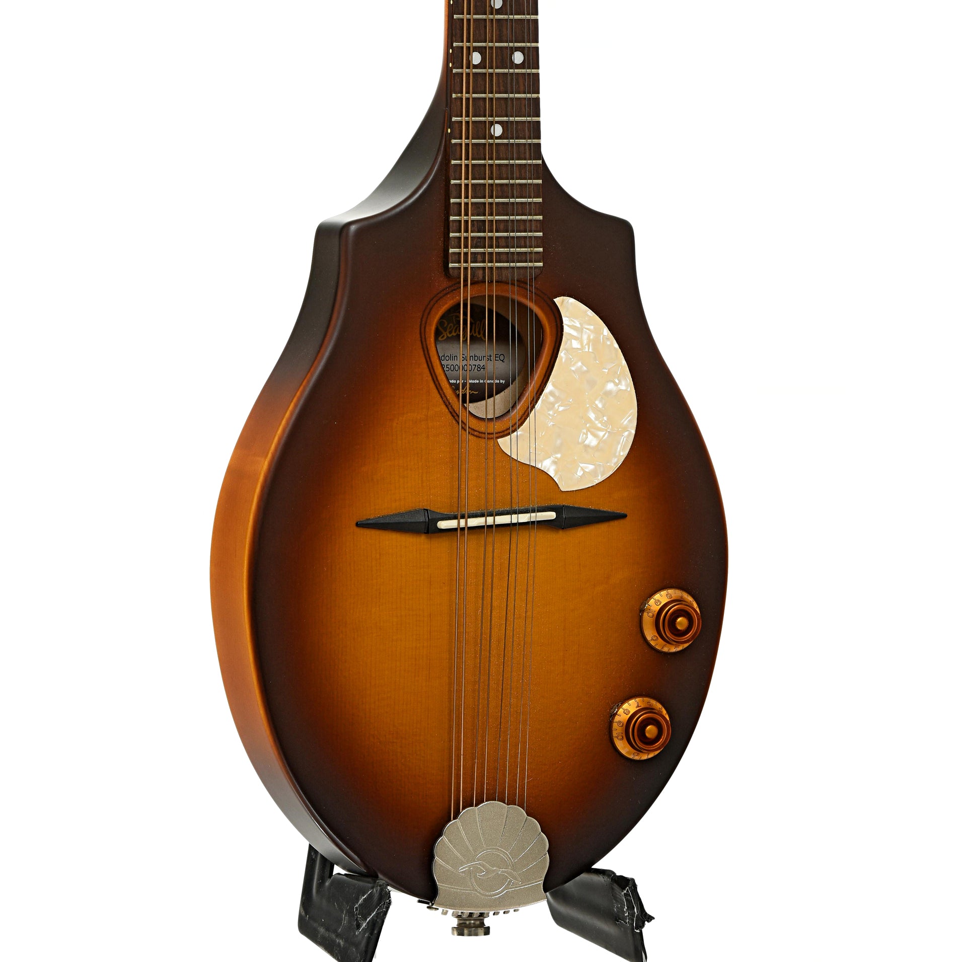 Front and side of Seagull S8 Mandolin