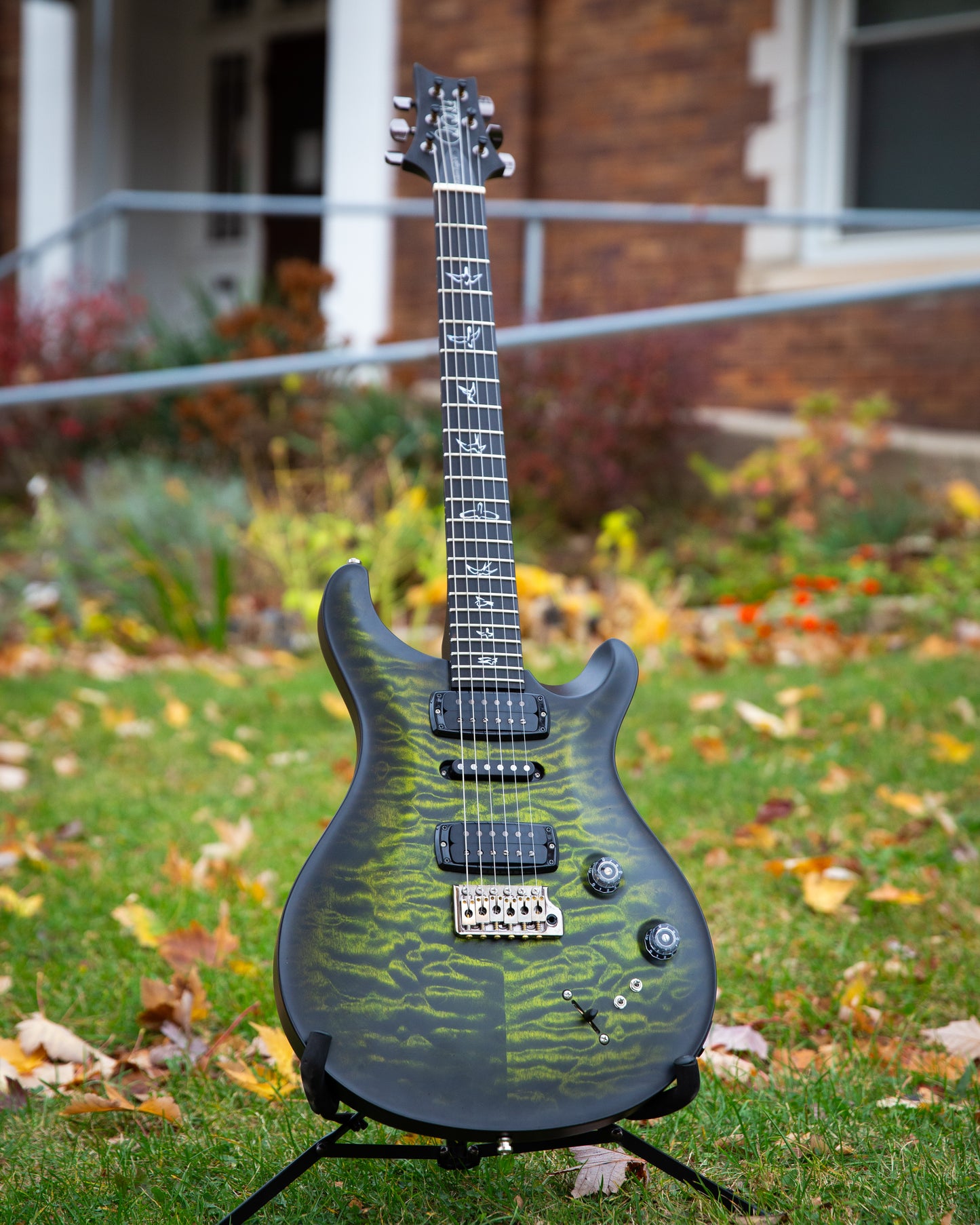 Showroom photo of PRS Wood Library Modern Eagle V Electric Guitar (2023)