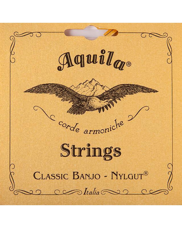 Front of AQUILA 1B 5-STRING BANJO SET