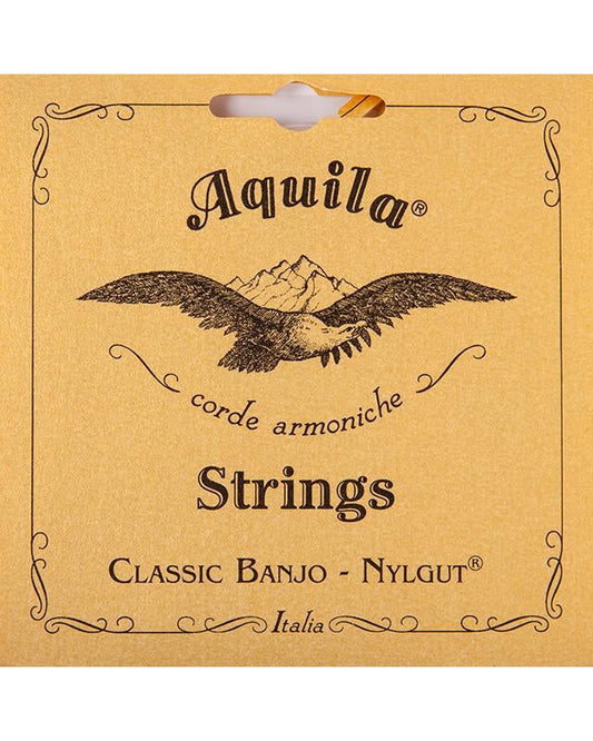 Front of AQUILA 1B 5-STRING BANJO SET