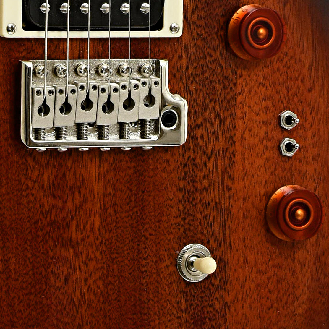 Bridge and controls of PRS SE 24-08 Standard Electric Guitar