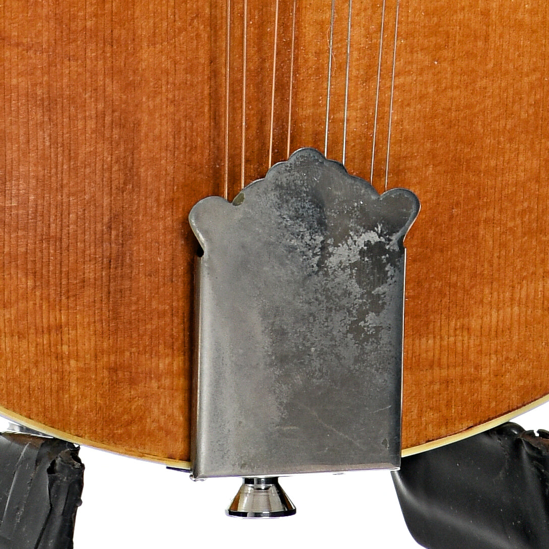 Tailpiece of Jordan Buck A-Style Mandolin (2013)