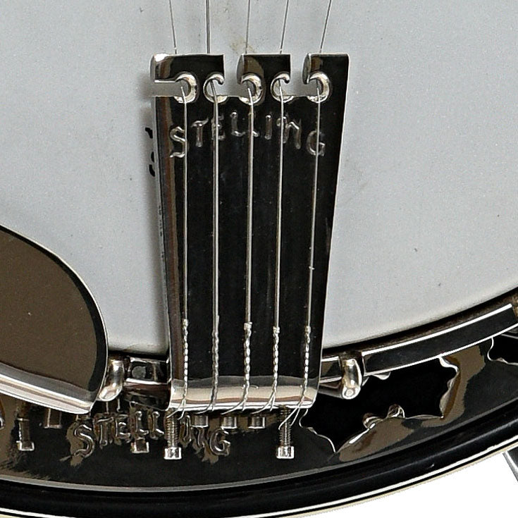 Tailpiece of Stelling Staghorn Resonator Banjo (c.1984)