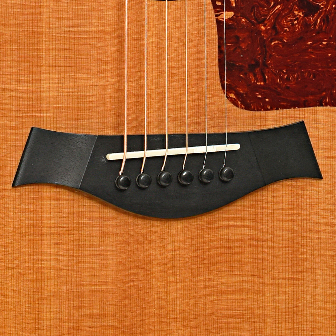 Bridge of Taylor 810-CE Acoustic-Electric Guitar (2004)