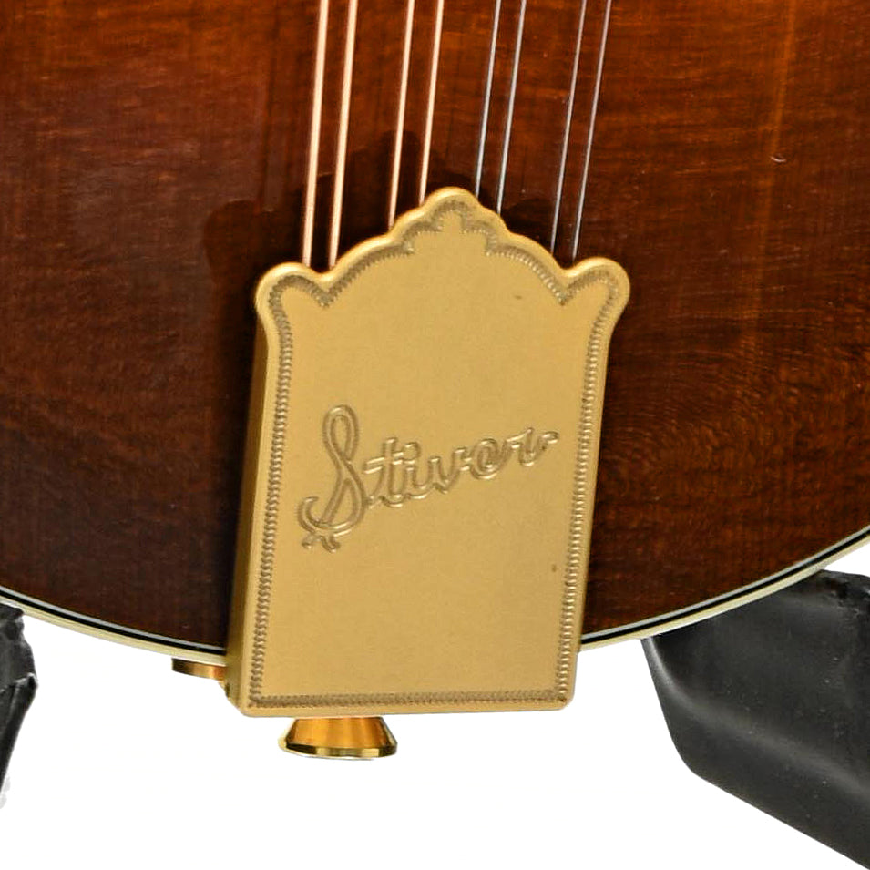 Tailpiece of Stiver F-5 Mandolin