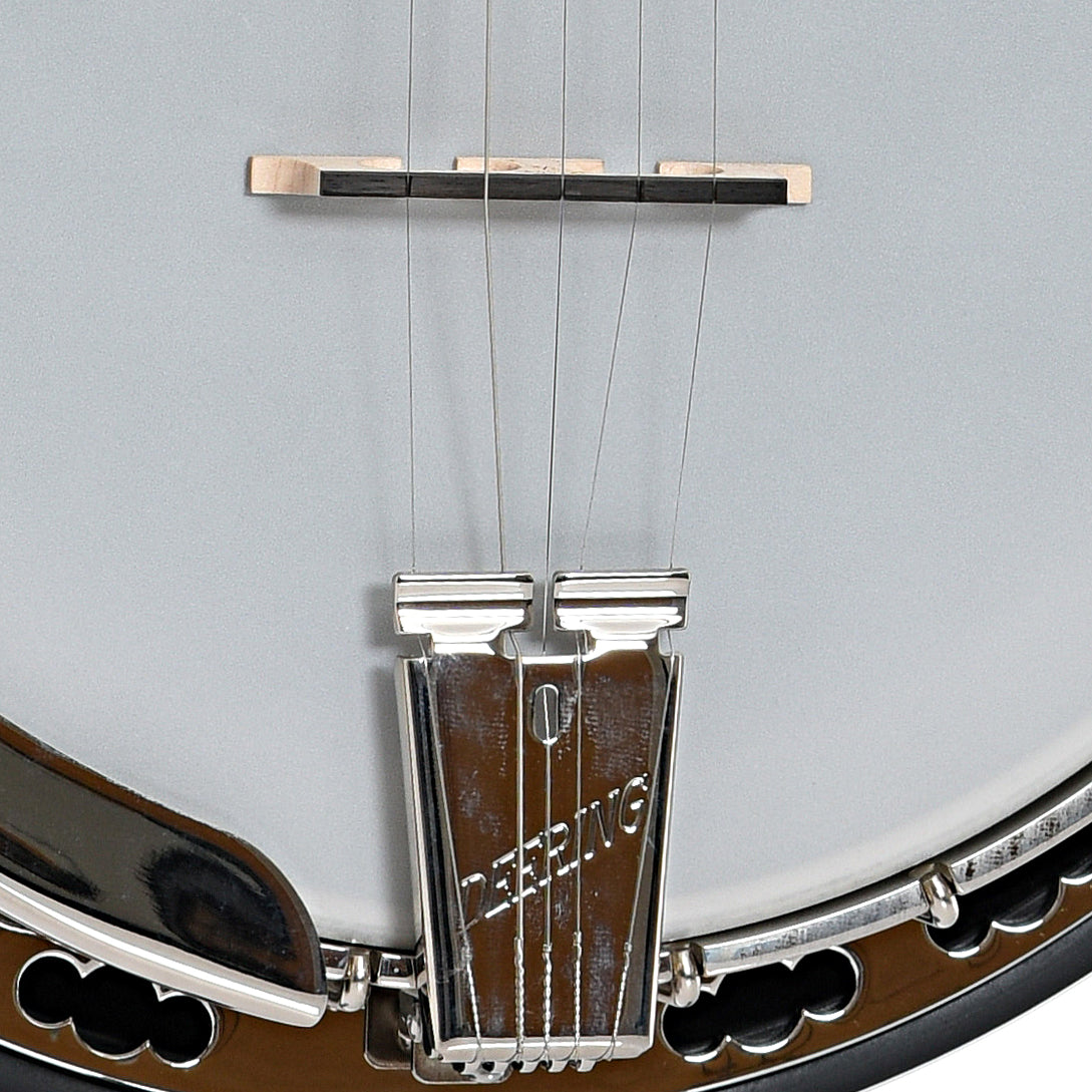 Deering Maple Blossom Banjo & Case, Radiused Fretboard