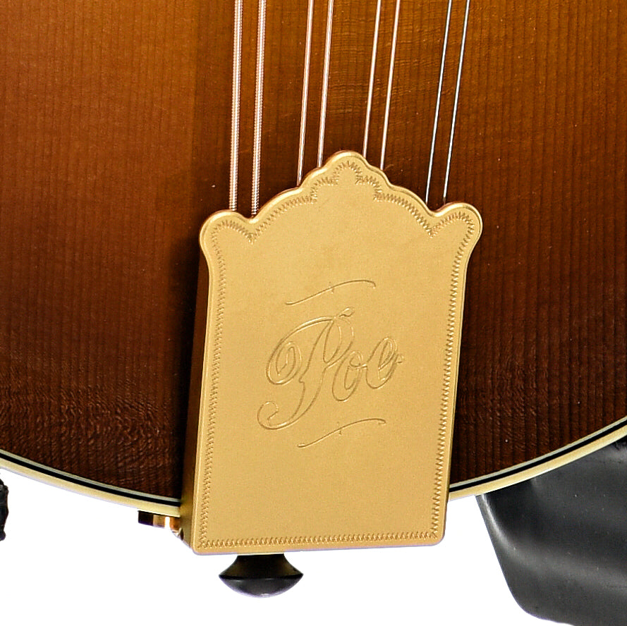 Tailpiece of Poe PH-5 Mandola