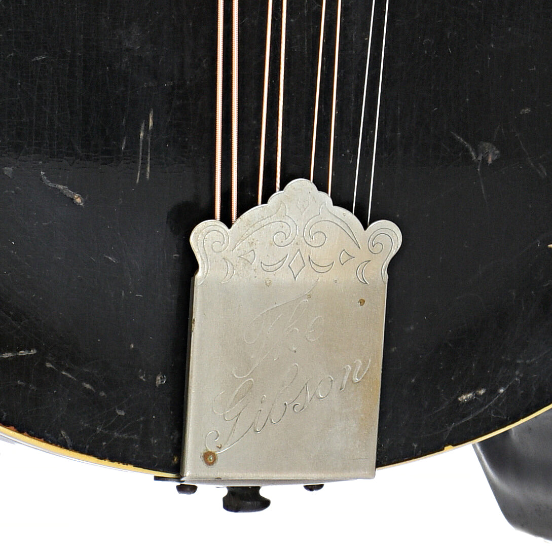 Tailpiece of Gibson H-1 Mandola (1921)