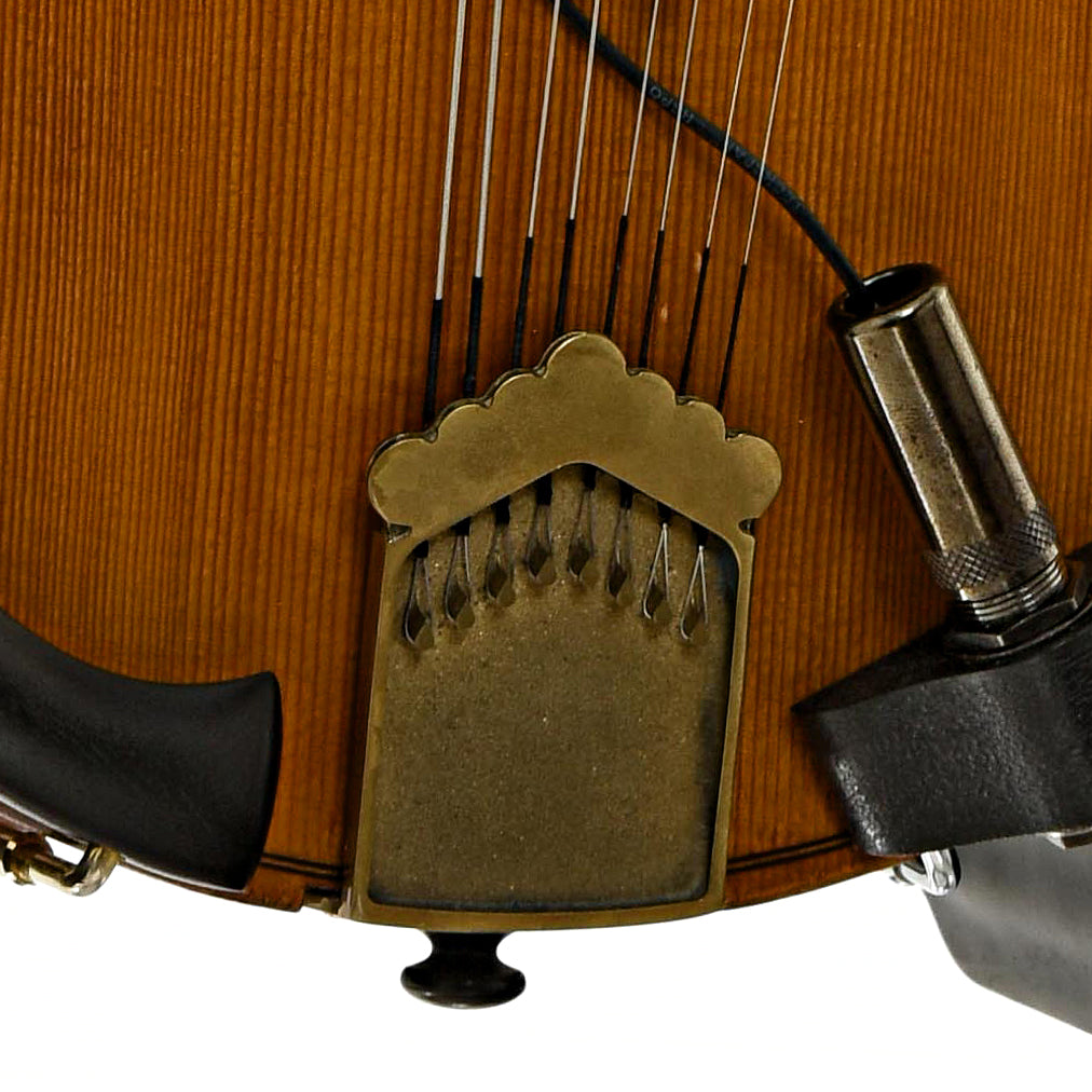 Tailpiece of Campanella Dué Two-Point Mandolin