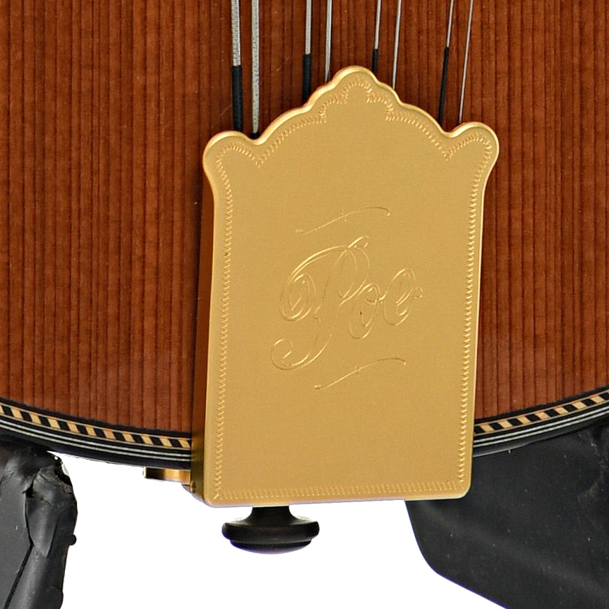 Tailpiece of Poe Scout D4-7 Mandola