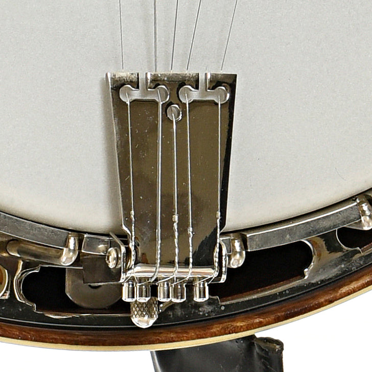 Tailpiece of Wildwood Sololist Custom Resonator Banjo (c.2008)