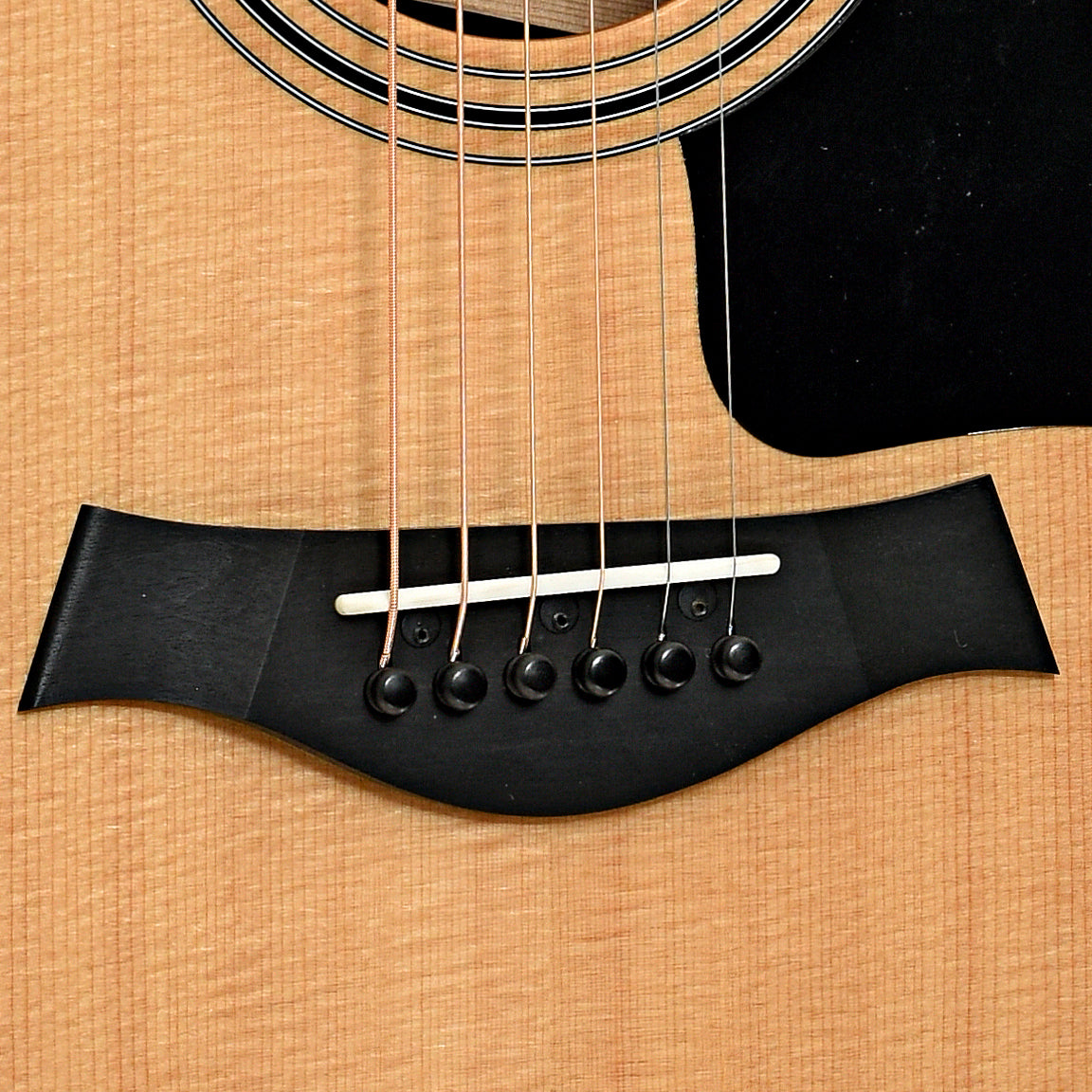 Bridge of Taylor 312ce Acoustic-Electric Guitar (2019)