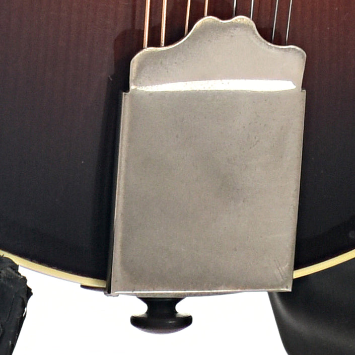 Tailpiece of Weber Yellowstone F Mandolin