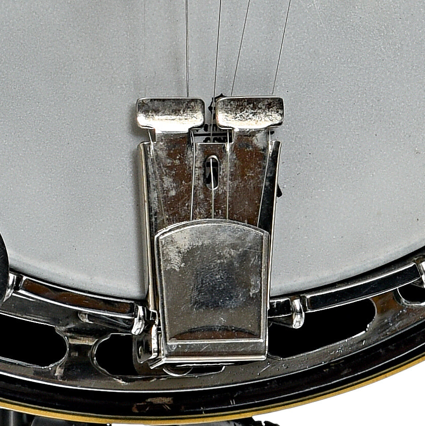 Tailpiece of Aria Pro II Flying Eagle Resonator Banjo