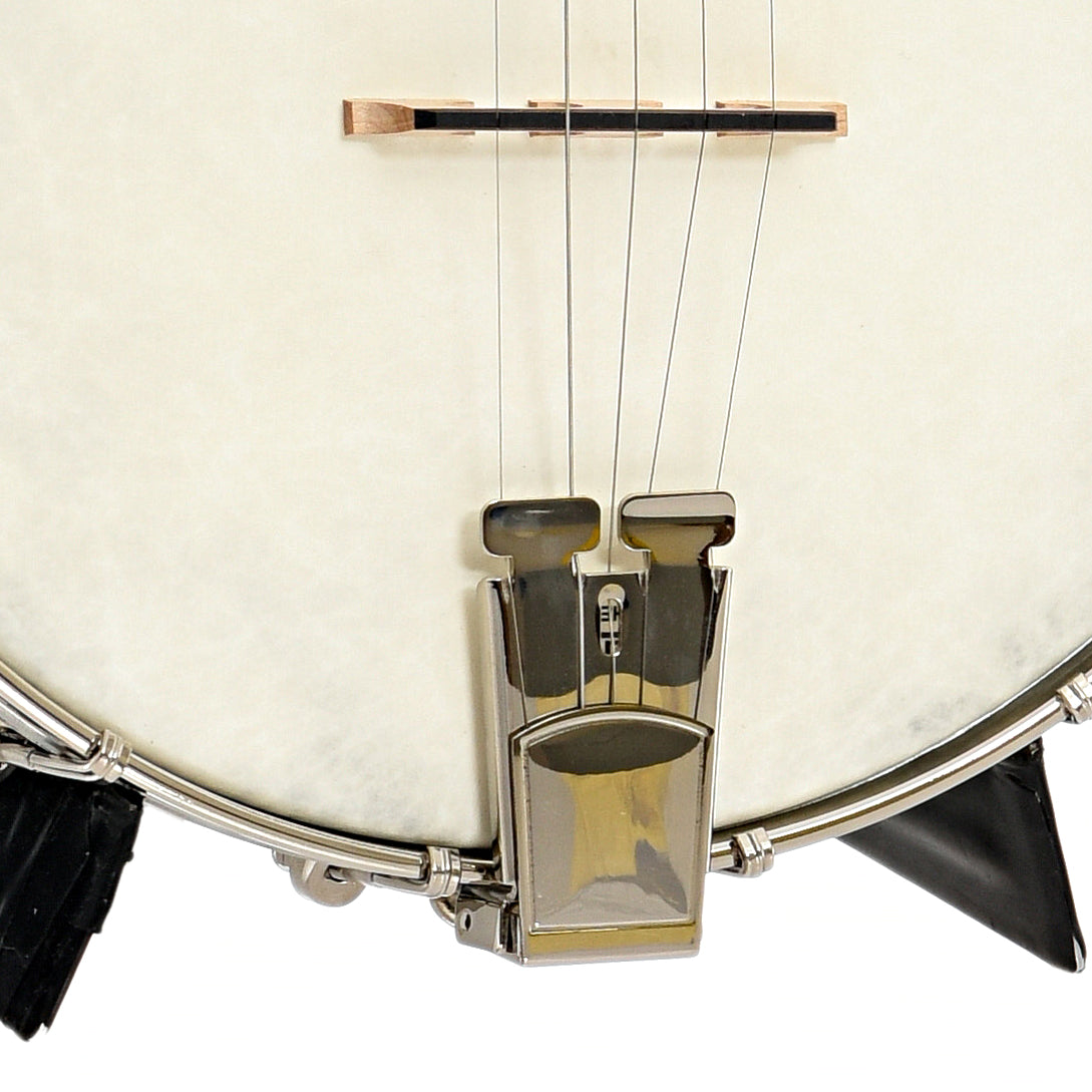 Tailpiece and bridge of Recording King Dirty 30's Open-Back Banjo