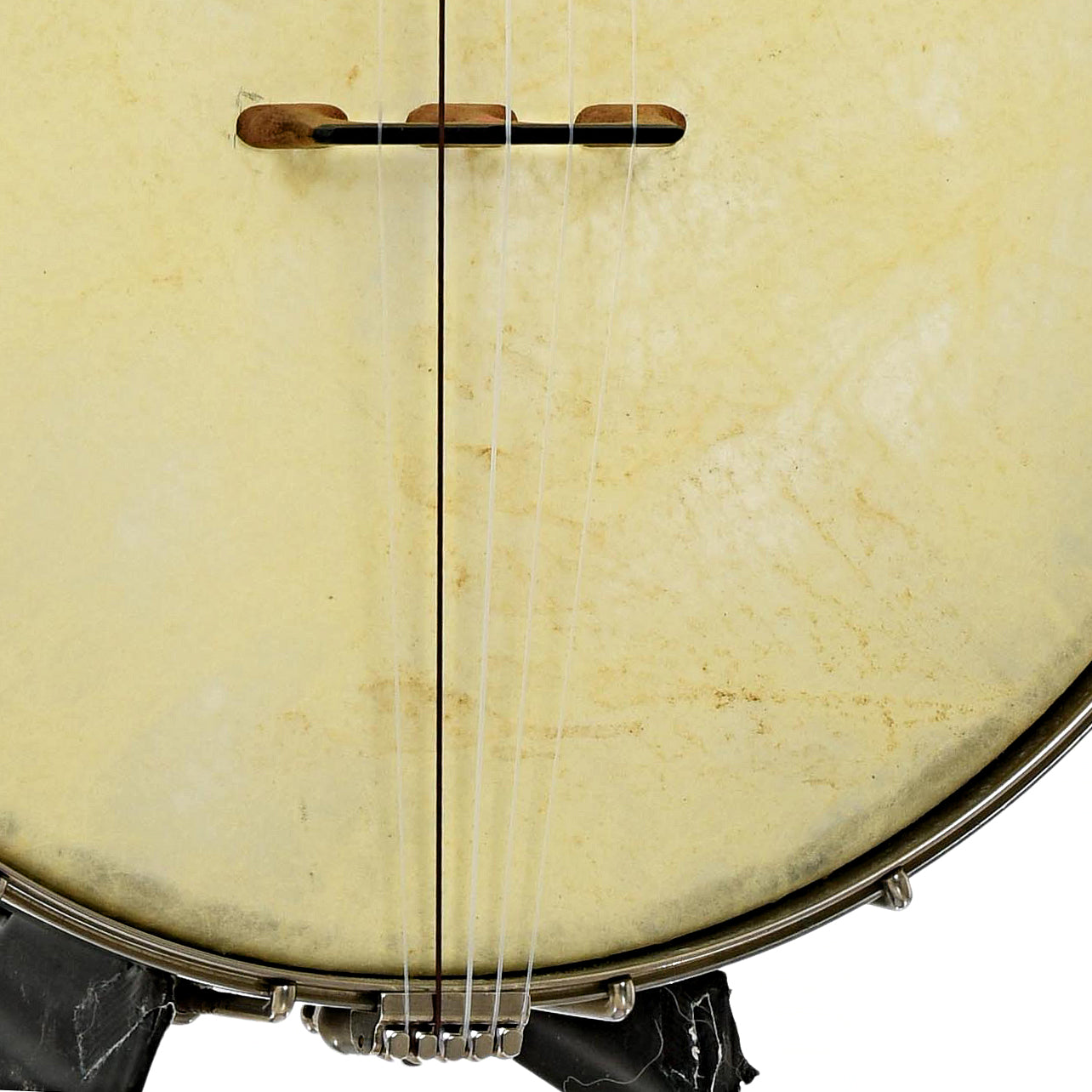 Bridge and tailpiece of Chanterelle Mike Ramsey Fretless Standard 12" Openback Banjo (c.1999)