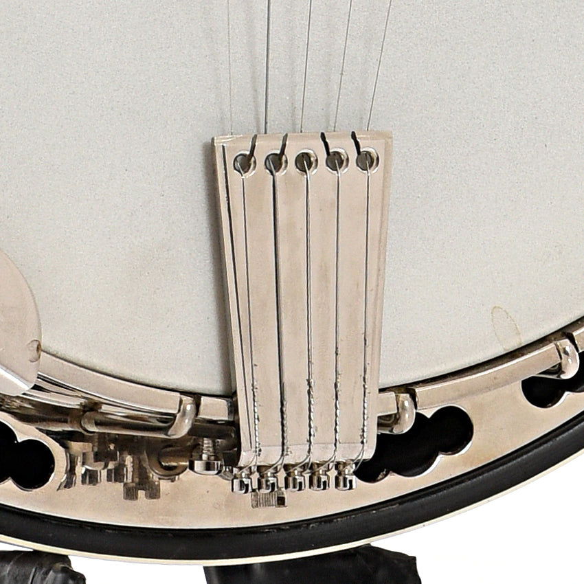 Tailpiece of Deering Deluxe Resonator Banjo 