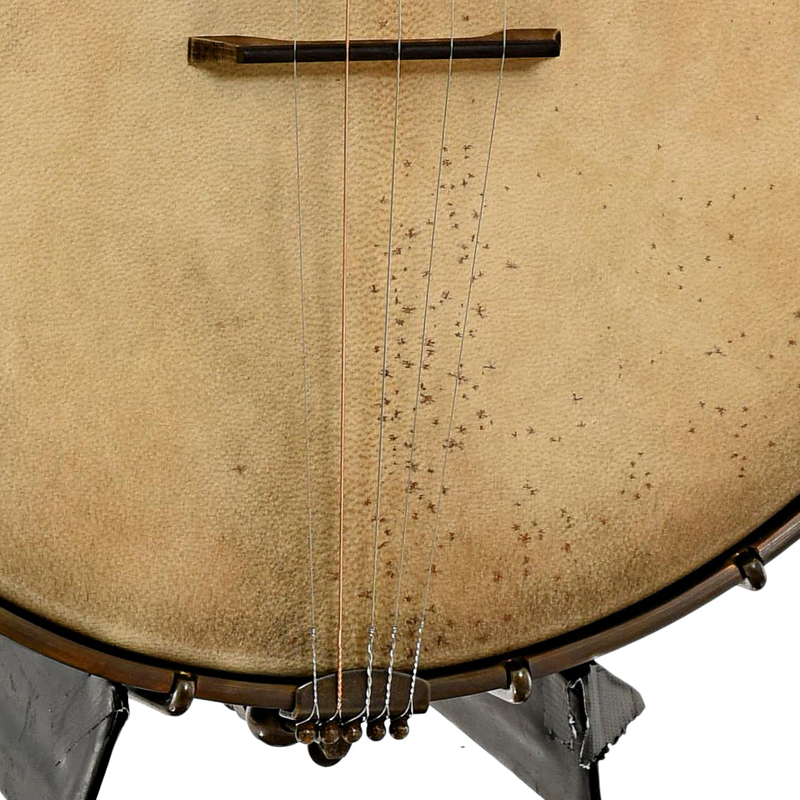 Bridge of Nashville Banjo Co Cumberland 12" Openback Banjo #141 & Gigbag, Walnut