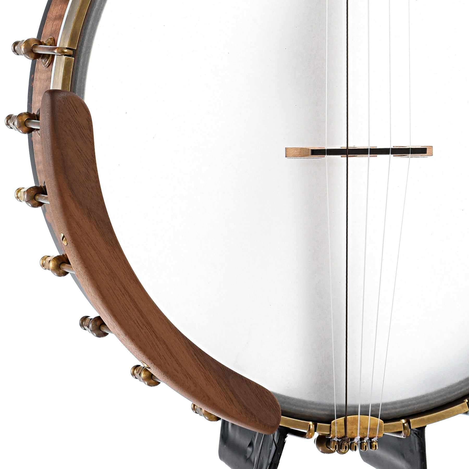 Armrest, tailpiece and bridge of of Ode Magician 12" Fretless Openback Banjo Nylgut Strings