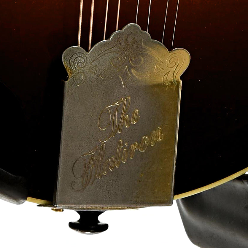 Tailpiece of Flatiron A-5 Artist Mandolin 