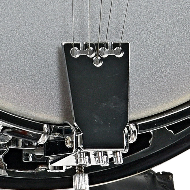 Tailpiece of Recording King RK-R20 Songster Resonator