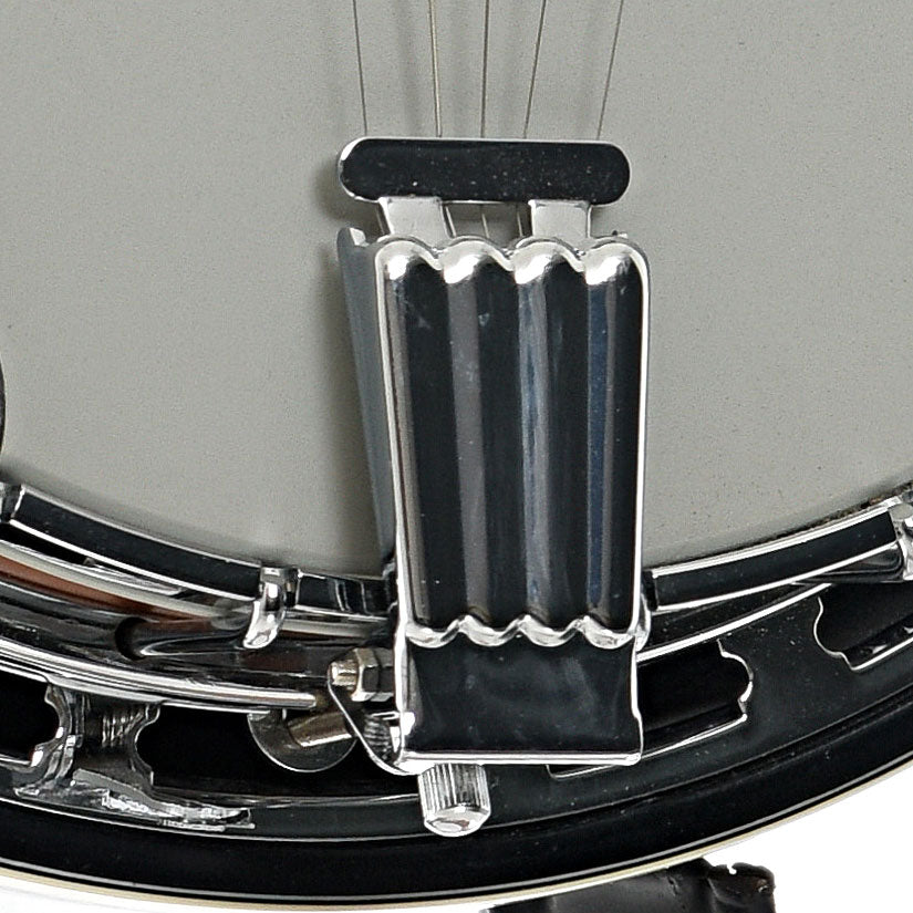 Tailpiece of Ibanez B200 Resonator Banjo (2014)