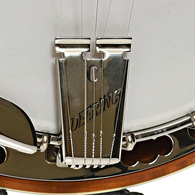 Tailpiece of Deering Silver Clipper Banjo