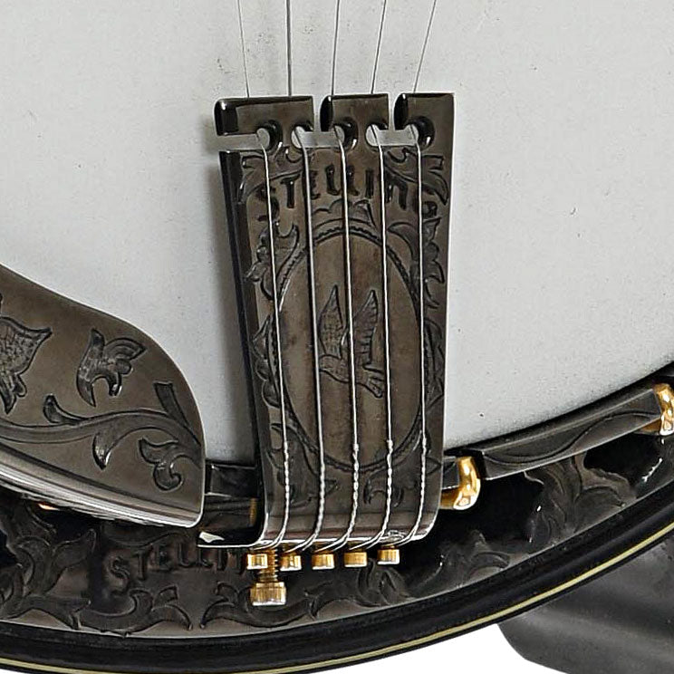 Tailpiece of Stelling Tree of Life Resonator Banjo (2001)