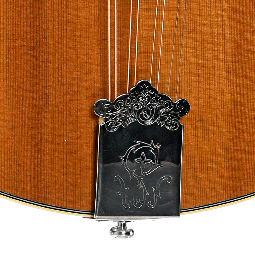 Tailpiece of Trinity College TC-375 Bouzouki