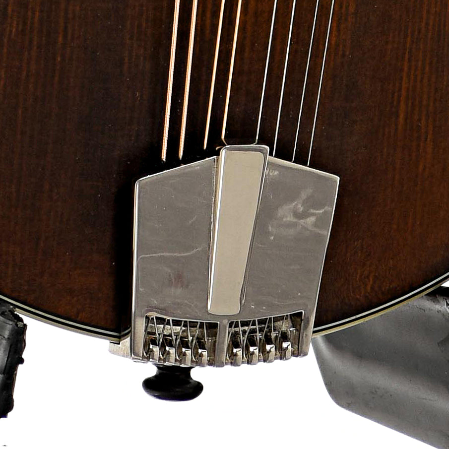 Tailpiece of Eastman MD315 F-Style Mandolin 