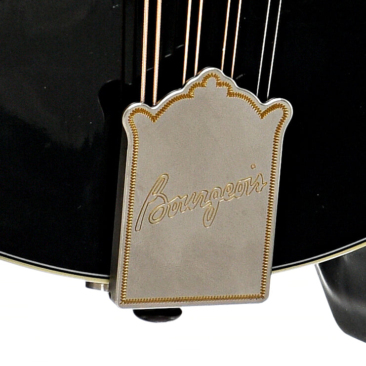 Tailpiece of Bourgeois M5O Octave Mandolin