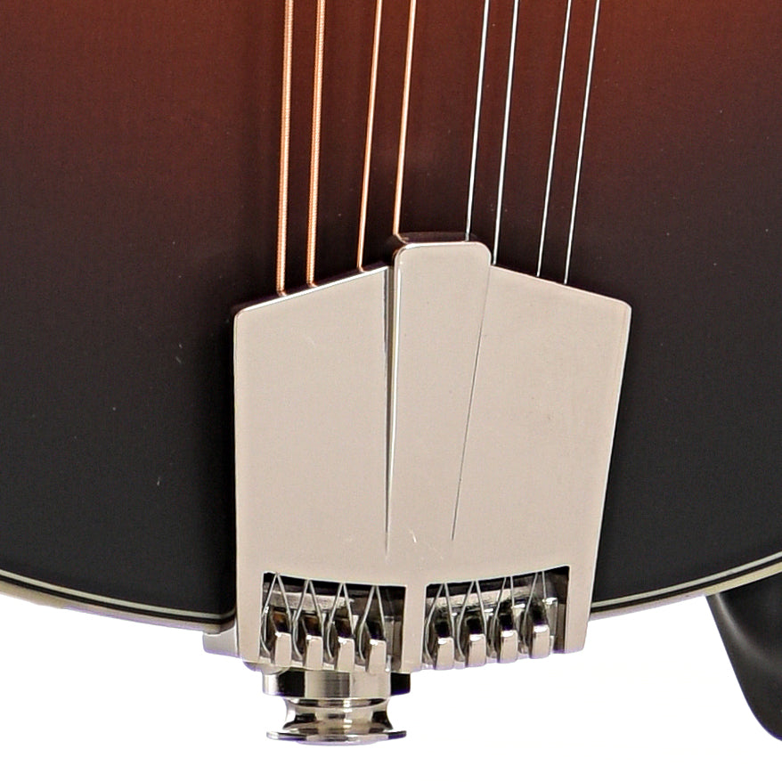 Tailpiece of Eastman MD304E-SB Mandolin, Sunburst