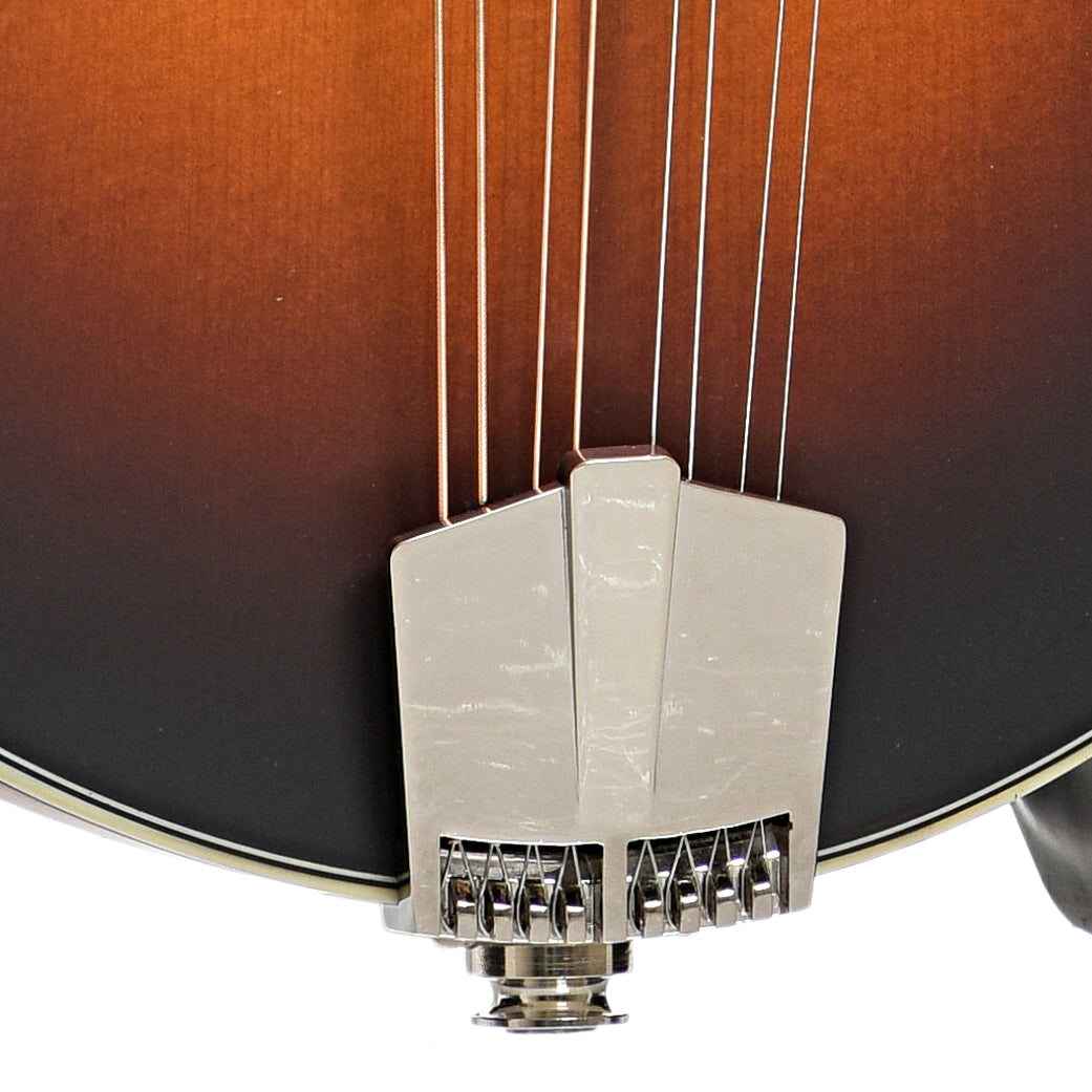 Tailpiece of Eastman MD314E-SB Mandolin, Sunburst