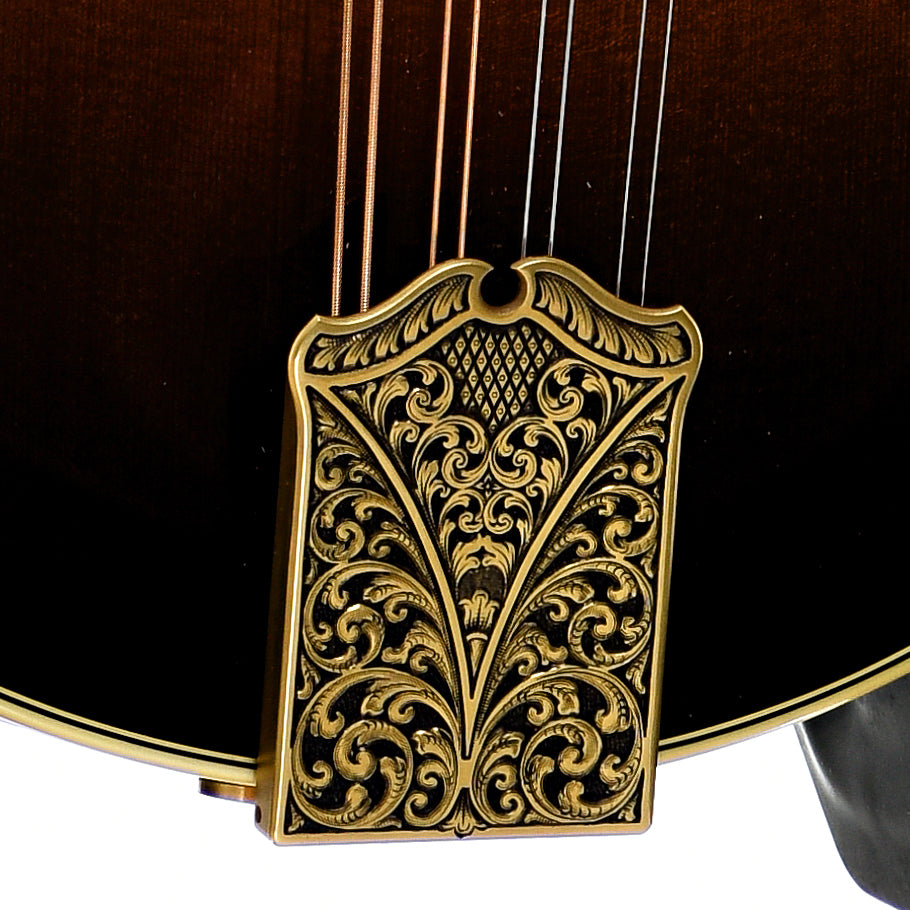 Tailpiece of Ellis F-5 Reserve Mandolin (2016)