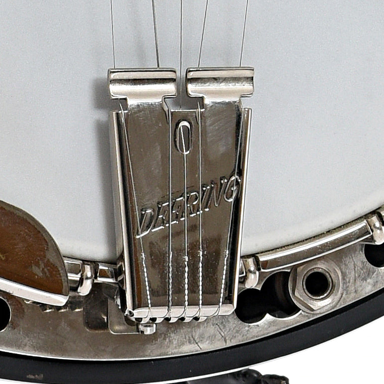 Deering Sierra A/E 5-String Resonator Banjo (2011)