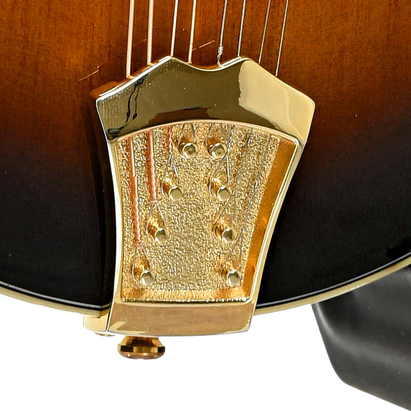 Tailpiece of Gold Tone GM-70 Plus Mandolin