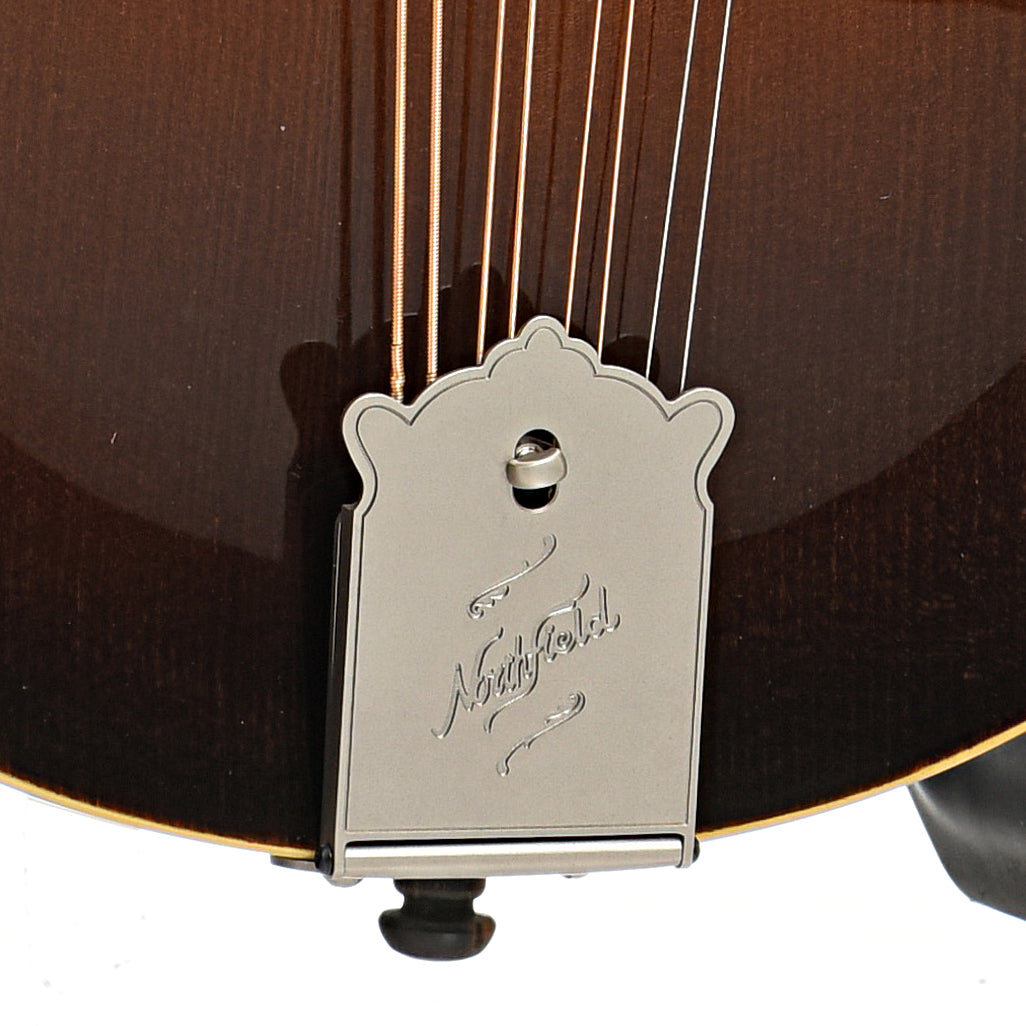 Tailpiece of Northfield NFM-M5 Quickstep Mandola, Dark Leatherburst