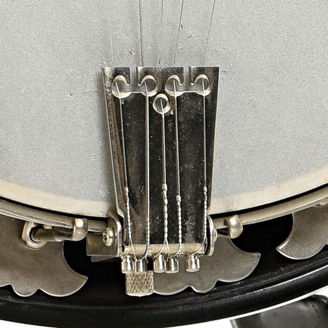 Tailpiece of Deering Boston 5-string Resonator Banjo (1995)