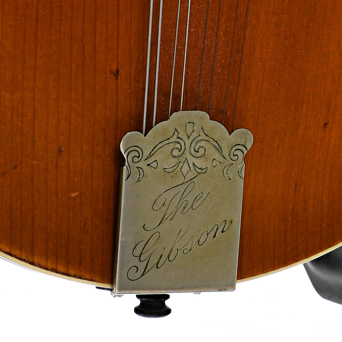 Tailpiece of Gibson H-1 Mandola