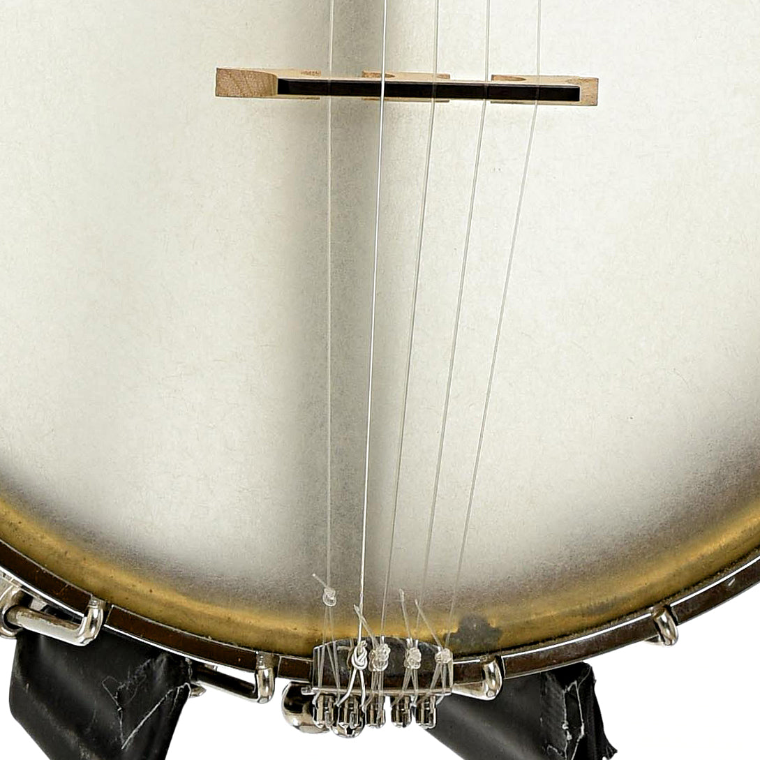 Bridge of Cedar Mountain FH1S Fretless Open Back Banjo