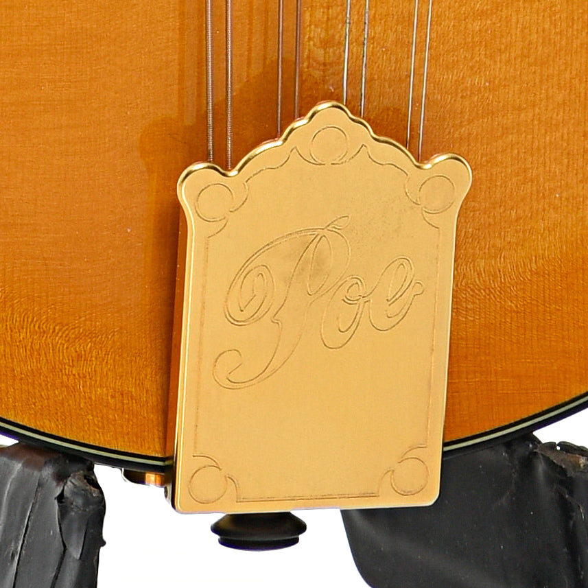 Tailpiece of Poe Elite F-5