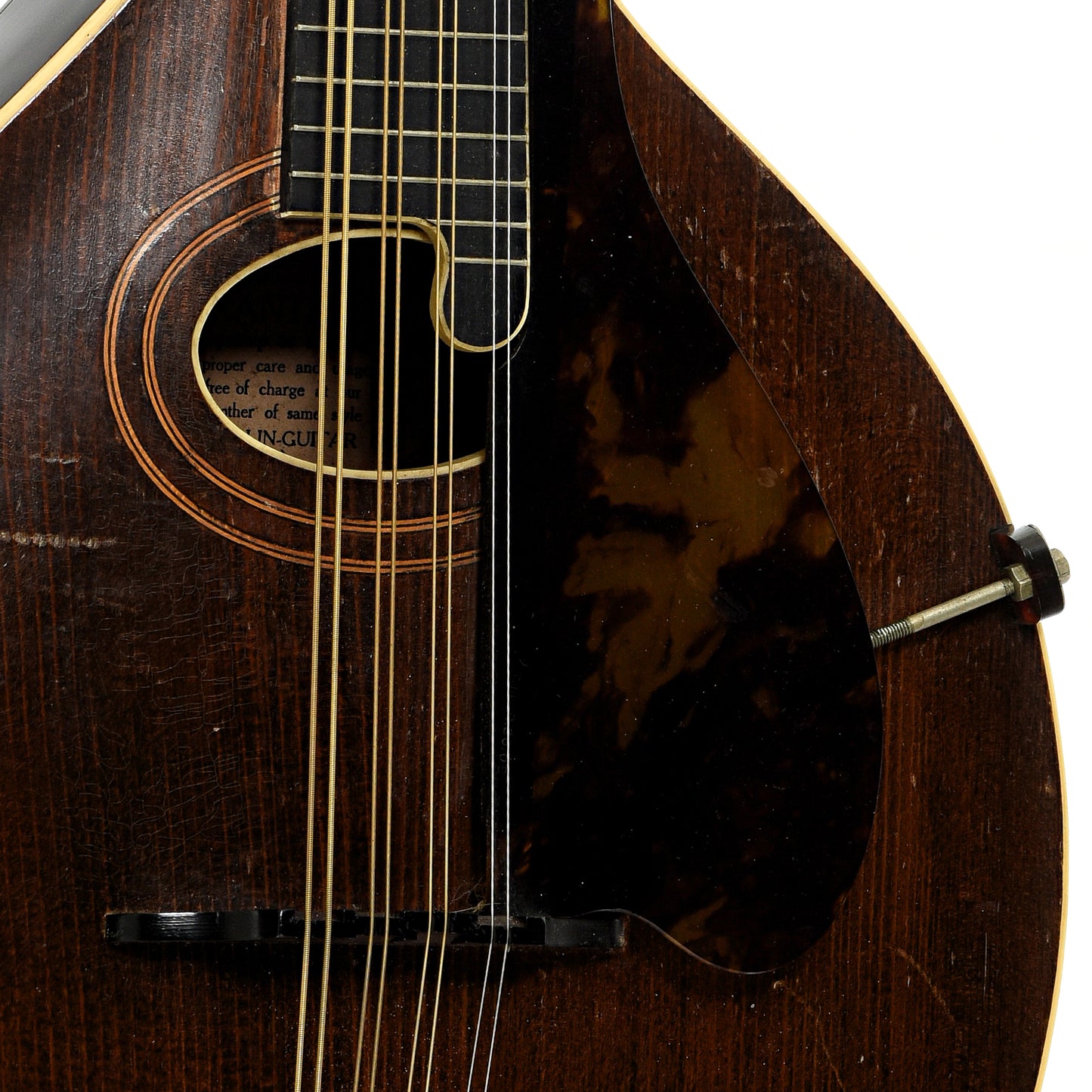 Soundhole of Giibson H-1 Mandola 