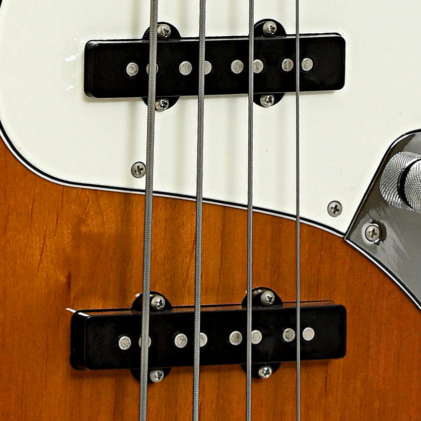 Pickups of Fender Fretless Standard Jazz Bass