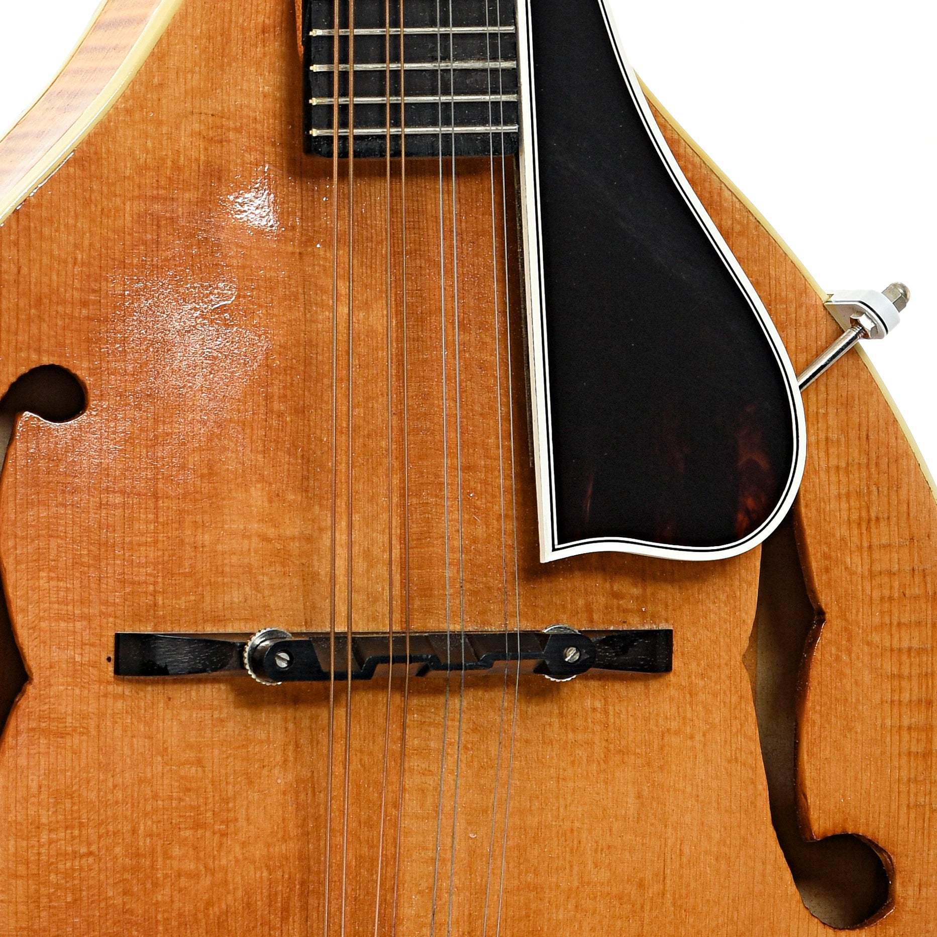 Bridge and pickguard of Jordan Buck A-Style Mandolin (2013)