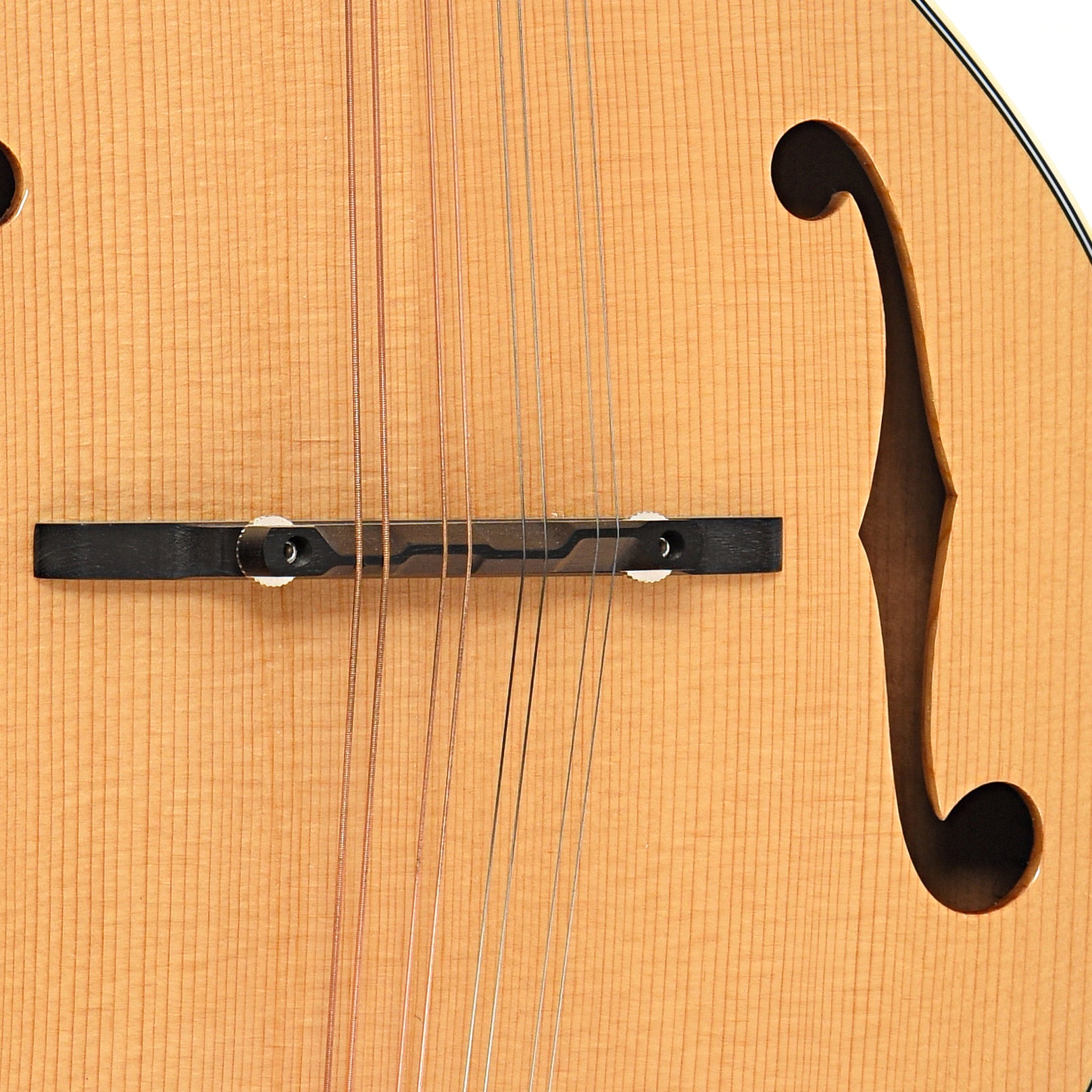 Bridge and f-hole of Bourgeois M5A Mandolin