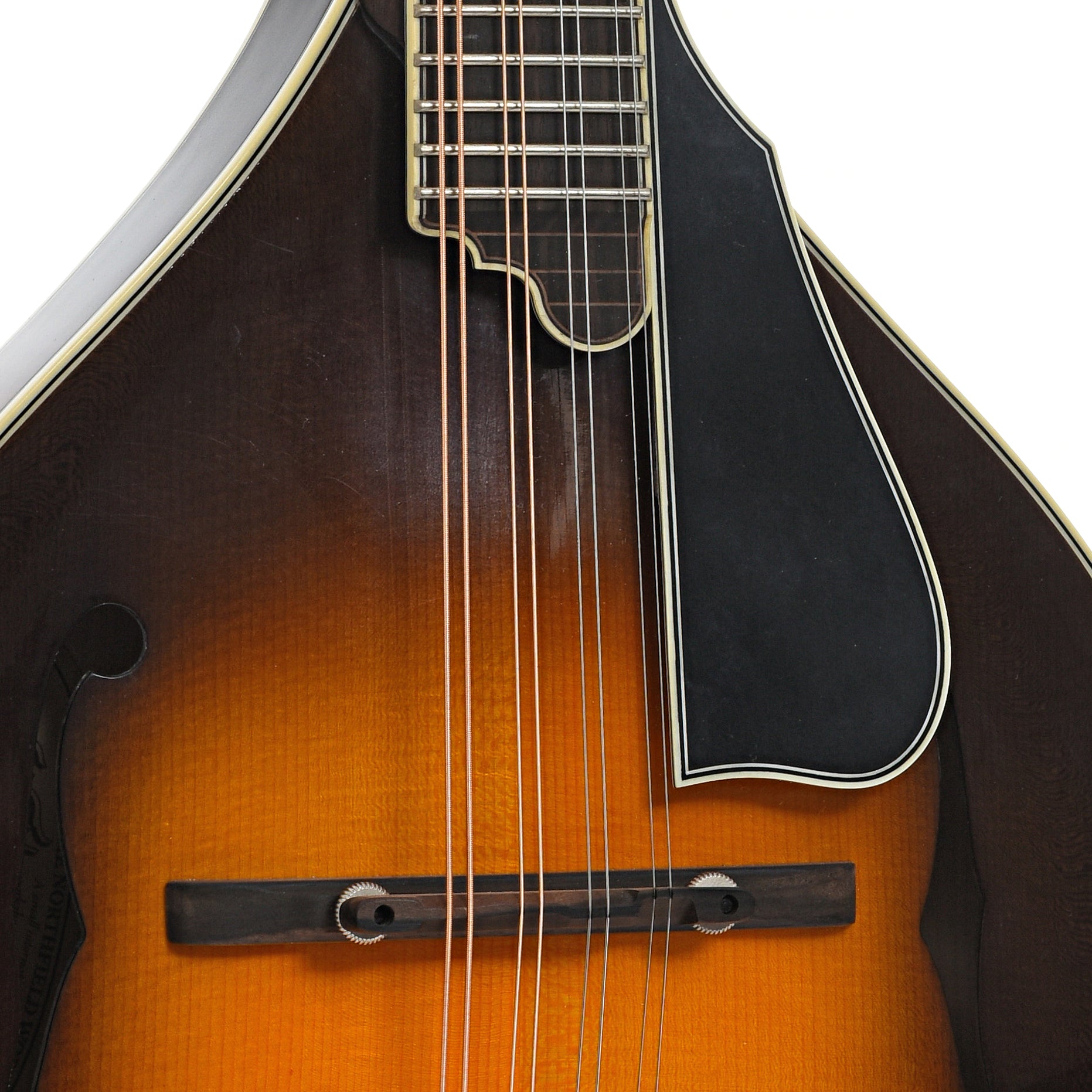 Bridge and pickguard of Northfield Workshop NFMSP-A5 A5 Special Mandolin